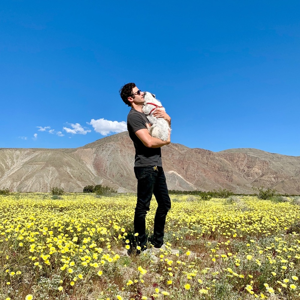 Meet your Posher, Roe